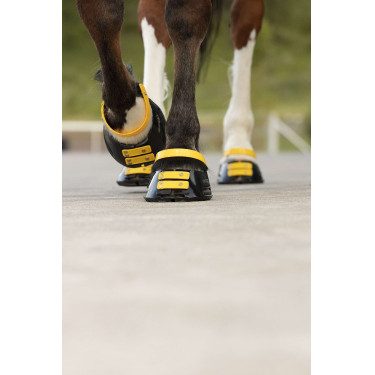 Conjunto de tiras frontais Scoot Boots Calêndula Amarelo Conjunto de tiras frontais Scoot Boots Calêndula Amarelo