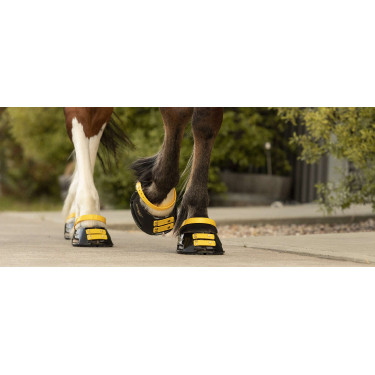 Conjunto de tiras frontais Scoot Boots Calêndula Amarelo Conjunto de tiras frontais Scoot Boots Calêndula Amarelo