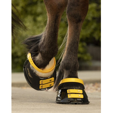 Conjunto de tiras frontais Scoot Boots Calêndula Amarelo Conjunto de tiras frontais Scoot Boots Calêndula Amarelo