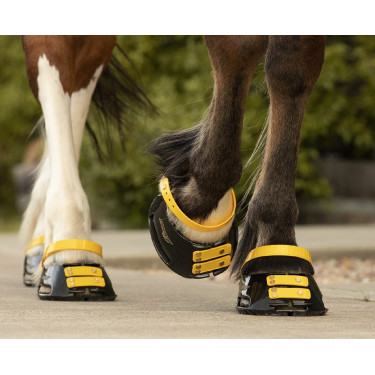 Conjunto de tiras frontais Scoot Boots Calêndula Amarelo Conjunto de tiras frontais Scoot Boots Calêndula Amarelo