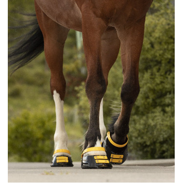 Conjunto de tiras frontais Scoot Boots Calêndula Amarelo Conjunto de tiras frontais Scoot Boots Calêndula Amarelo