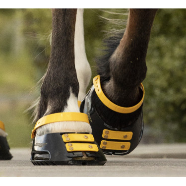 Conjunto de tiras frontais Scoot Boots Calêndula Amarelo Conjunto de tiras frontais Scoot Boots Calêndula Amarelo