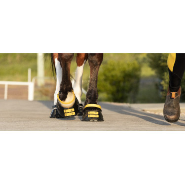 Conjunto de tiras frontais Scoot Boots Calêndula Amarelo Conjunto de tiras frontais Scoot Boots Calêndula Amarelo