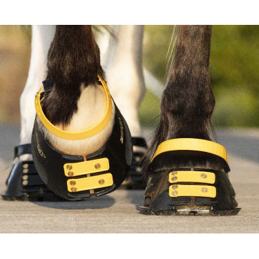 Conjunto de tiras frontais Scoot Boots Calêndula Amarelo Conjunto de tiras frontais Scoot Boots Calêndula Amarelo