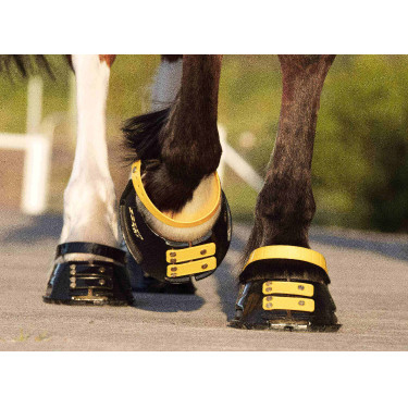 Conjunto de tiras frontais Scoot Boots Calêndula Amarelo Conjunto de tiras frontais Scoot Boots Calêndula Amarelo