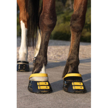 Conjunto de tiras frontais Scoot Boots Calêndula Amarelo Conjunto de tiras frontais Scoot Boots Calêndula Amarelo