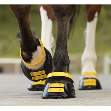 Conjunto de tiras frontais Scoot Boots Calêndula Amarelo Conjunto de tiras frontais Scoot Boots Calêndula Amarelo