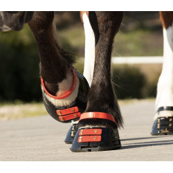 Tiras de boleto Scoot Boots com 4 unidades Hibisco Vermelho Tiras de boleto Scoot Boots com 4 unidades Hibisco Vermelho