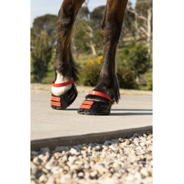 Tiras de boleto Scoot Boots com 4 unidades Hibisco Vermelho Tiras de boleto Scoot Boots com 4 unidades Hibisco Vermelho