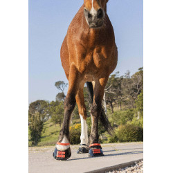 Tiras de boleto Scoot Boots com 4 unidades Hibisco Vermelho Tiras de boleto Scoot Boots com 4 unidades Hibisco Vermelho