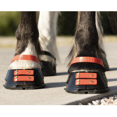 Tiras de boleto Scoot Boots com 4 unidades Hibisco Vermelho Tiras de boleto Scoot Boots com 4 unidades Hibisco Vermelho