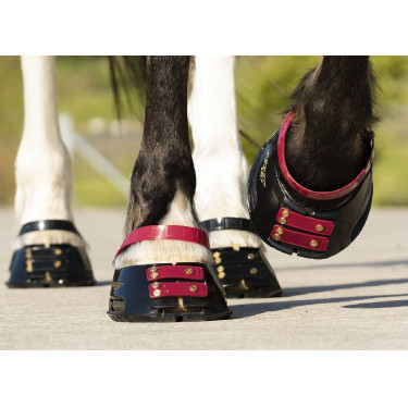 Tiras de boleto Scoot Boots com 4 unidades Amora Bordô Tiras de boleto Scoot Boots com 4 unidades Amora Bordô