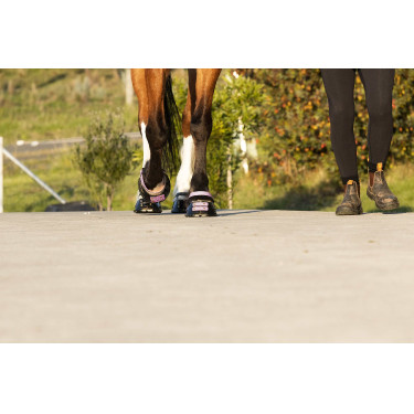 Tiras de boleto Scoot Boots com 4 unidades Florir Rosa