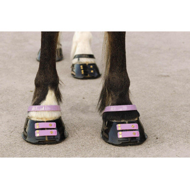 Tiras de boleto Scoot Boots com 4 unidades Florir Rosa