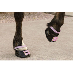 Tiras de boleto Scoot Boots com 4 unidades Florir Rosa