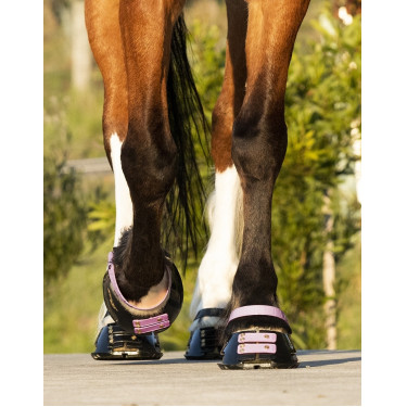 Tiras de boleto Scoot Boots com 4 unidades Florir Rosa