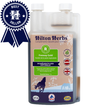 Freeway Gold Hilton Herbs Freeway Gold Hilton Herbs