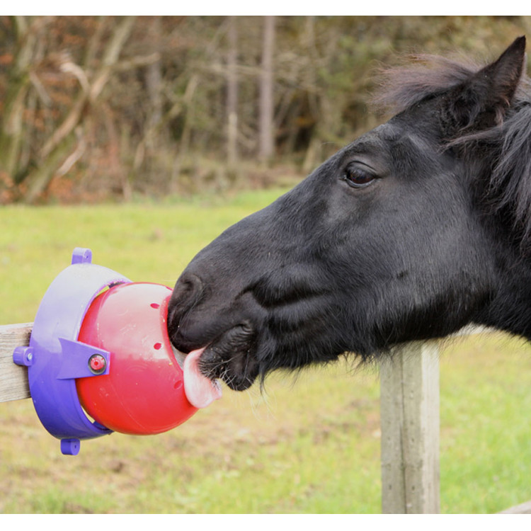 Jogo de sal para cavalo Tongue Twister Likit Jogo de sal para cavalo Tongue Twister Likit