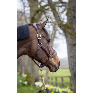 Caveção de couro costurado LeMieux Castanho