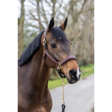 Caveção de couro costurado LeMieux Castanho