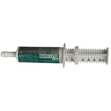 Alimento complementar LPC Quick Lythe Flash Alimento complementar LPC Quick Lythe Flash
