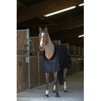 Chemise séchante Equithème Teddy Bleu marine Chemise séchante Equithème Teddy Bleu marine