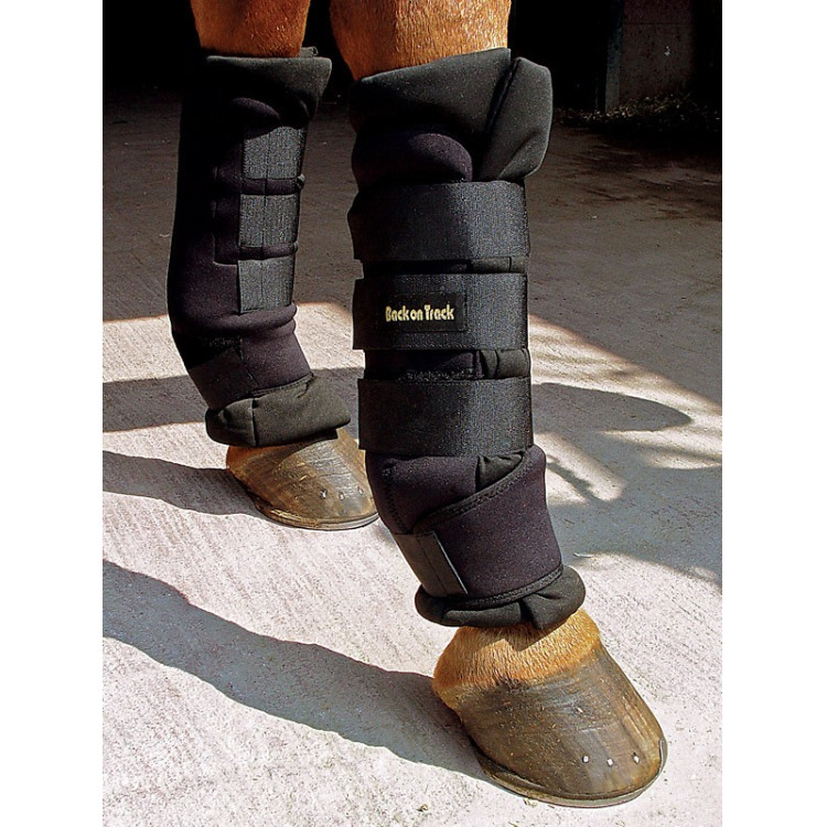 Botas Estáveis Royal Back on Track Botas Estáveis Royal Back on Track
