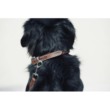 Coleira para cão Pénélope Point Sellier Coleira para cão Pénélope Point Sellier