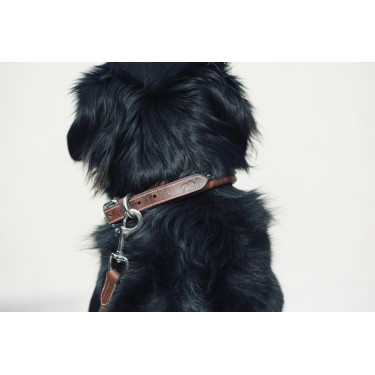 Coleira para cão Pénélope Point Sellier Coleira para cão Pénélope Point Sellier