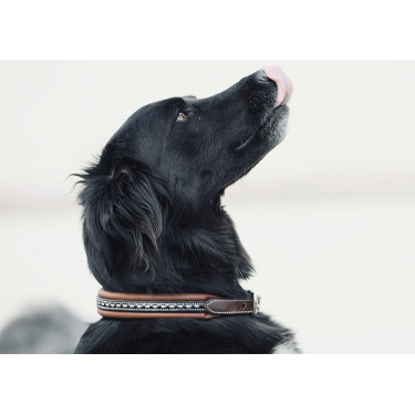 Coleira para cão Pénélope Point Sellier Coleira para cão Pénélope Point Sellier