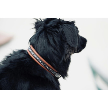 Coleira para cão Pénélope Point Sellier Coleira para cão Pénélope Point Sellier