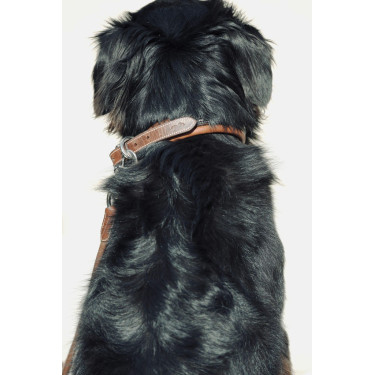 Coleira para cão Pénélope Point Sellier Coleira para cão Pénélope Point Sellier