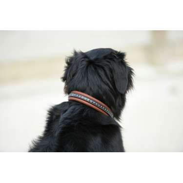 Coleira para cão Pénélope Point Sellier Coleira para cão Pénélope Point Sellier
