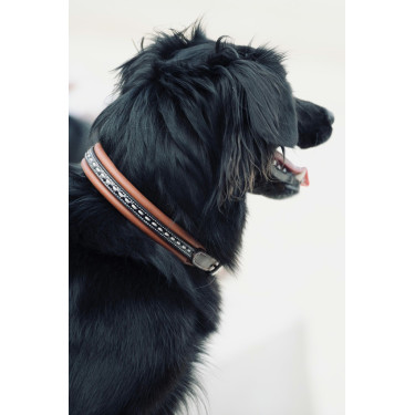 Coleira para cão Pénélope Point Sellier Coleira para cão Pénélope Point Sellier