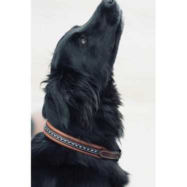 Coleira para cão Pénélope Point Sellier Coleira para cão Pénélope Point Sellier