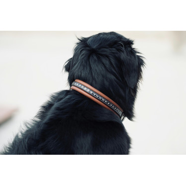 Coleira para cão Pénélope Point Sellier Coleira para cão Pénélope Point Sellier