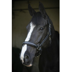 Caveira de couro Pénélope Point Sellier Preto Caveira de couro Pénélope Point Sellier Preto