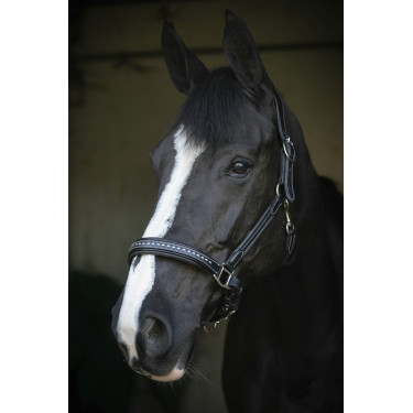 Caveira de couro Pénélope Point Sellier Preto Caveira de couro Pénélope Point Sellier Preto