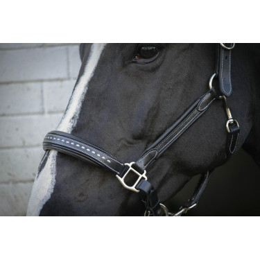 Caveira de couro Pénélope Point Sellier Preto Caveira de couro Pénélope Point Sellier Preto