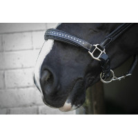 Caveira de couro Pénélope Point Sellier Preto