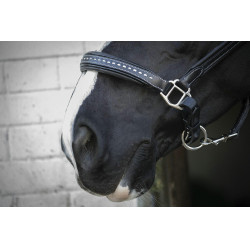 Caveira de couro Pénélope Point Sellier Preto Caveira de couro Pénélope Point Sellier Preto