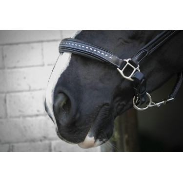 Caveira de couro Pénélope Point Sellier Preto Caveira de couro Pénélope Point Sellier Preto