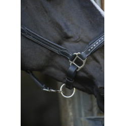 Caveira de couro Pénélope Point Sellier Preto Caveira de couro Pénélope Point Sellier Preto