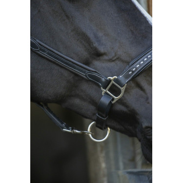 Caveira de couro Pénélope Point Sellier Preto Caveira de couro Pénélope Point Sellier Preto