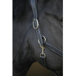 Caveira de couro Pénélope Point Sellier Preto Caveira de couro Pénélope Point Sellier Preto