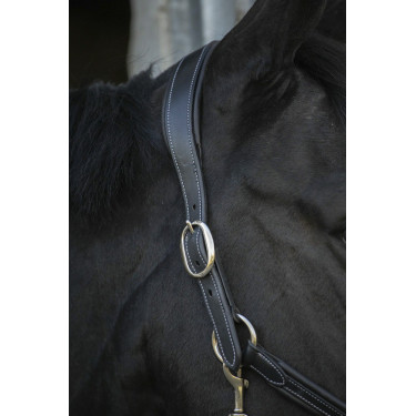 Caveira de couro Pénélope Point Sellier Preto Caveira de couro Pénélope Point Sellier Preto