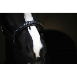 Caveira de couro Pénélope Point Sellier Preto Caveira de couro Pénélope Point Sellier Preto