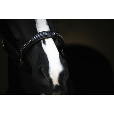 Caveira de couro Pénélope Point Sellier Preto Caveira de couro Pénélope Point Sellier Preto