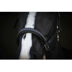 Caveira de couro Pénélope Point Sellier Preto Caveira de couro Pénélope Point Sellier Preto