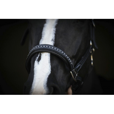 Caveira de couro Pénélope Point Sellier Preto Caveira de couro Pénélope Point Sellier Preto